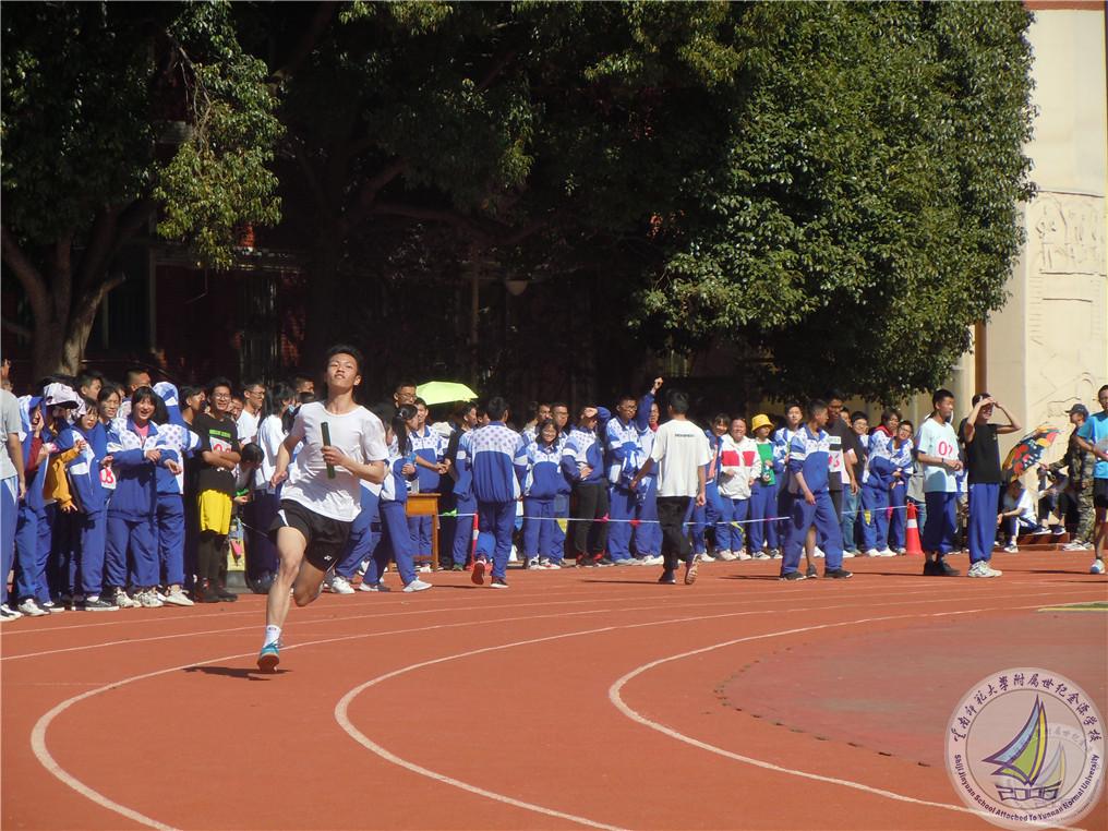 16 男子 4x400.jpg
