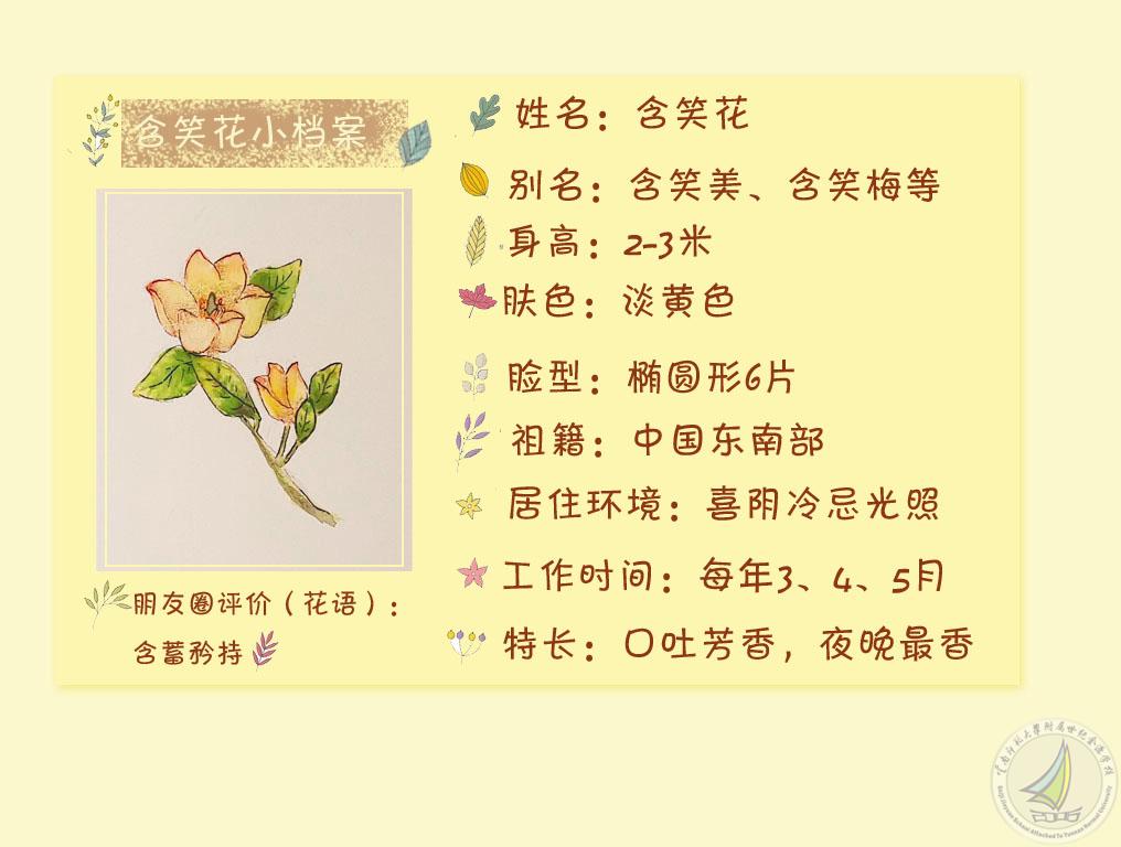 2_副本副本.jpg