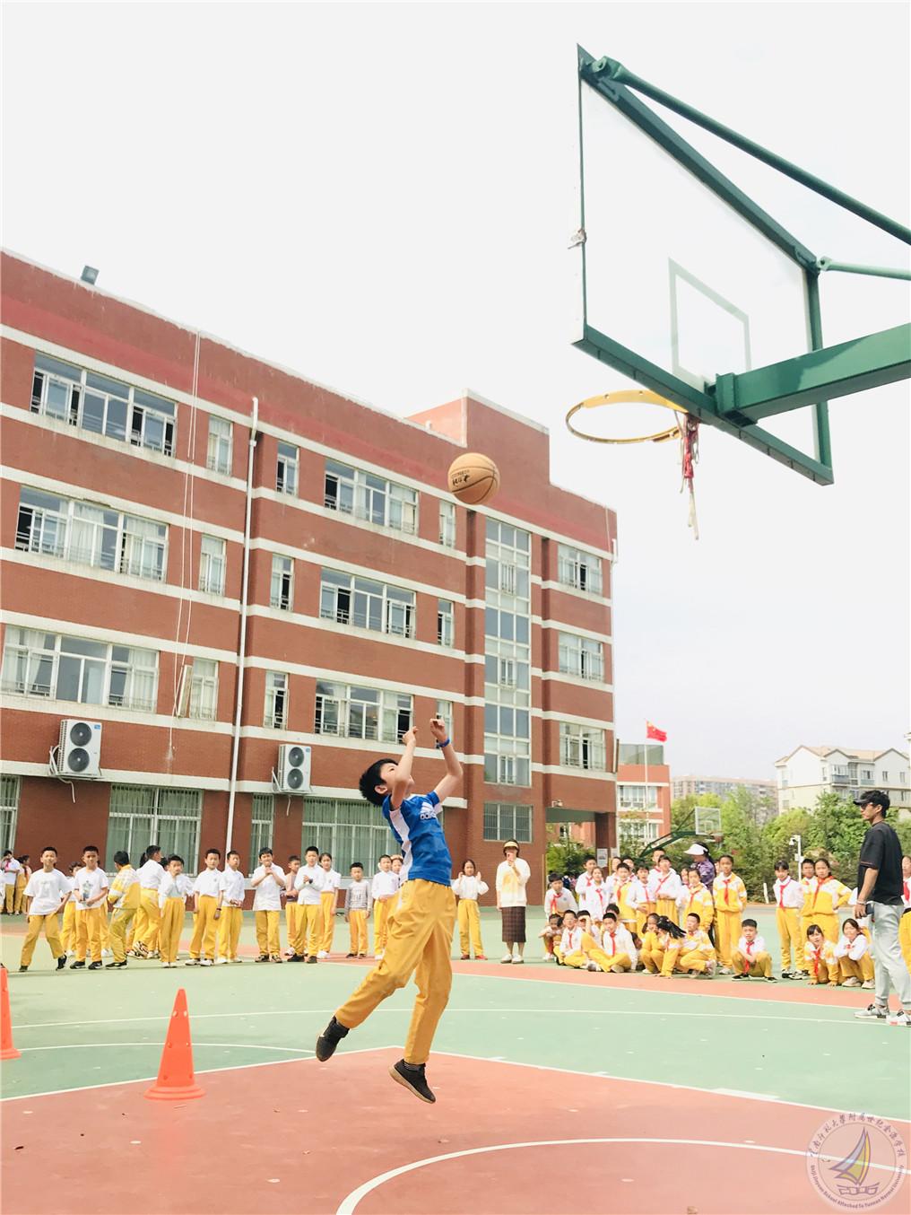 图片2 .jpg