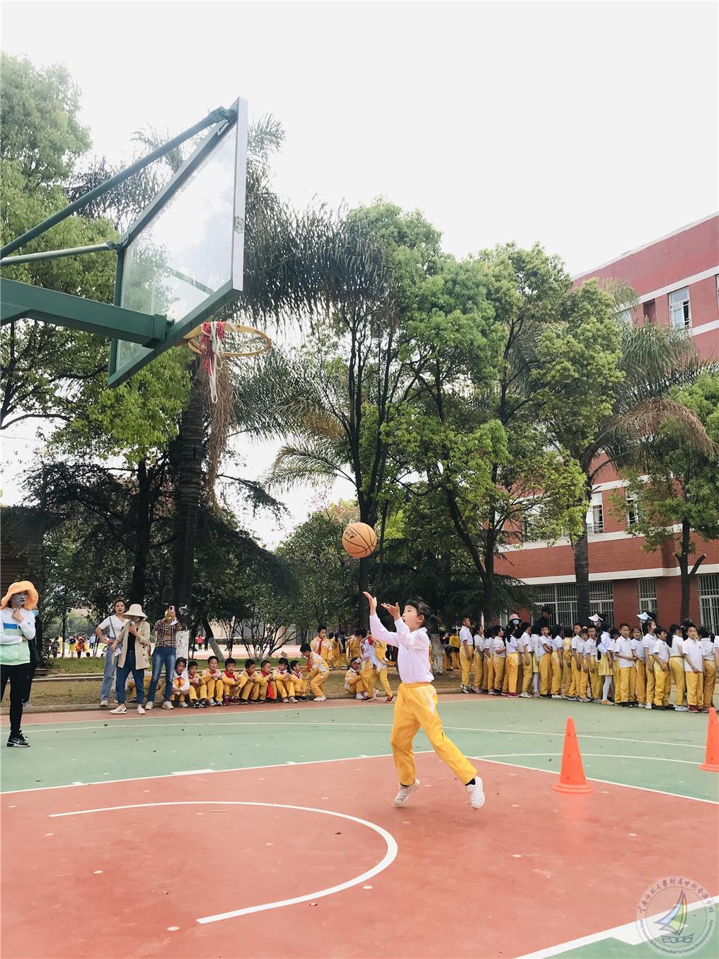 图片5.jpg