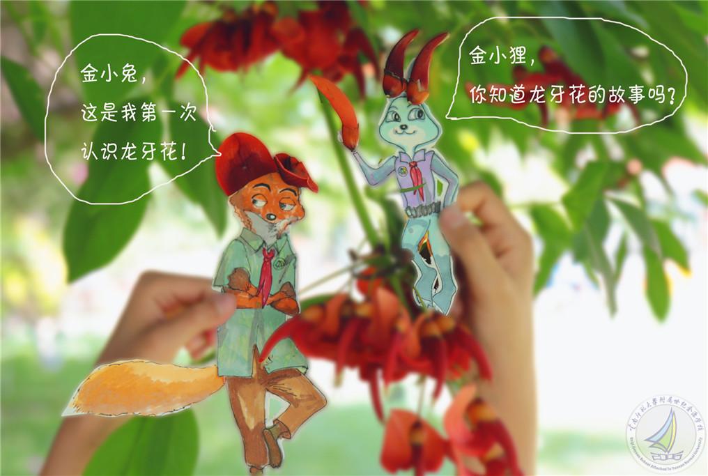 4_副本_副本.jpg