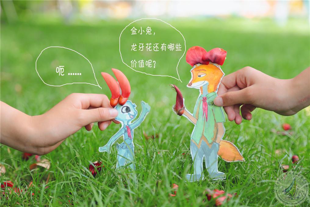 5_副本_副本.jpg