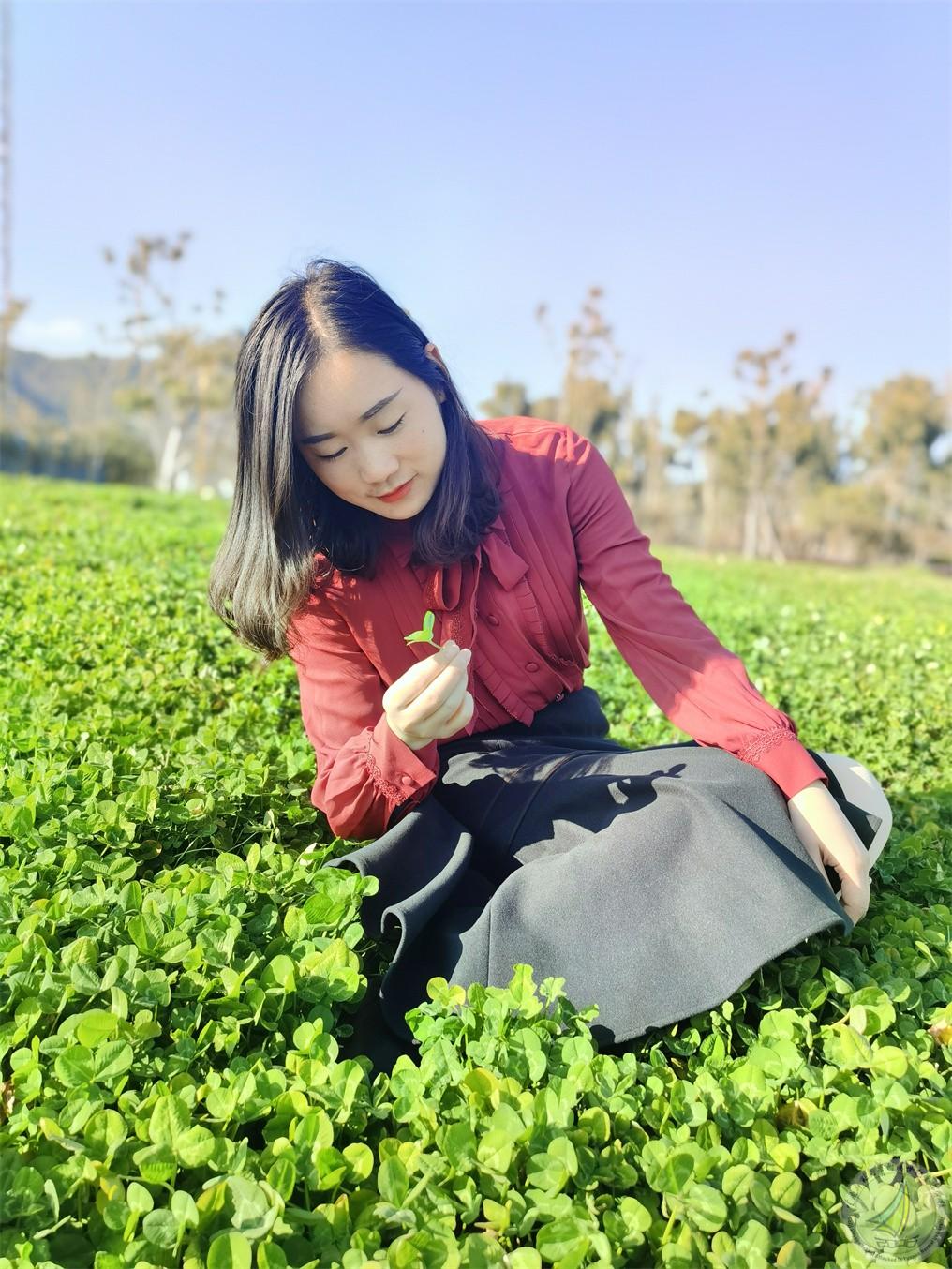 10号照片  田娟_副本.jpg