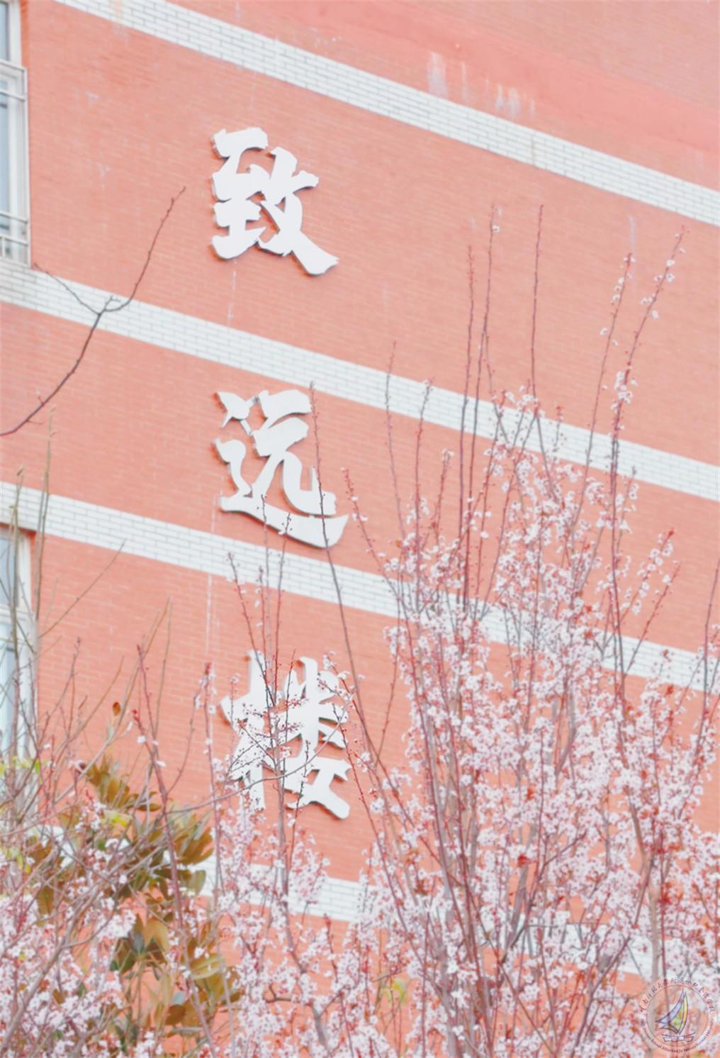 567A9880_副本.jpg