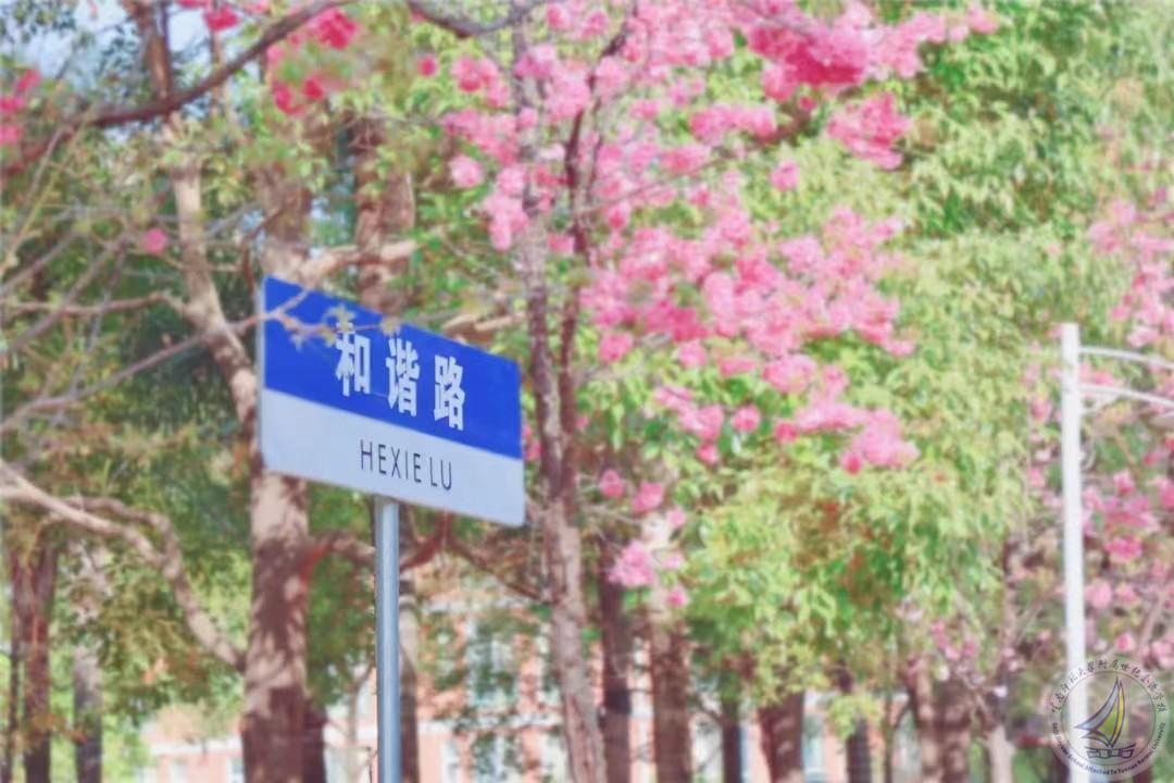微信图片_20230714221325.jpg
