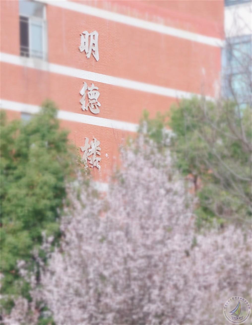567A9868_副本.jpg