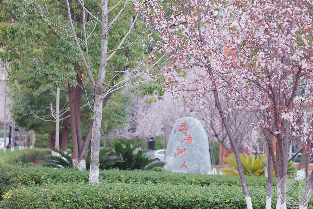 222567A0900_副本 - 副本.jpg