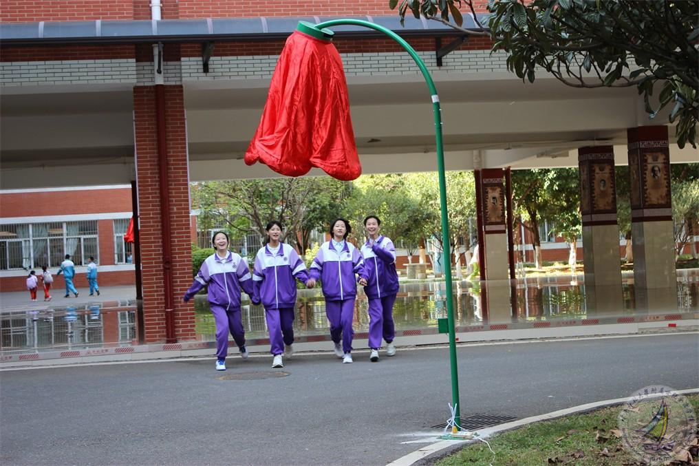 1741169252844031005.jpg 图4.jpg