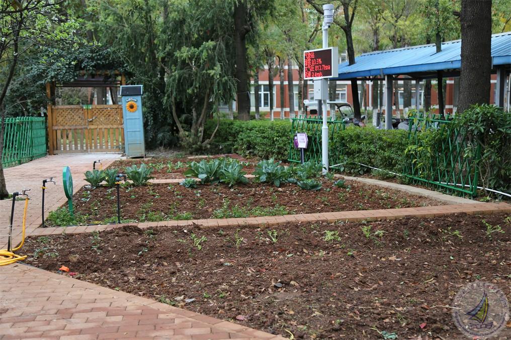 1741527400995080619.jpg GX2A9964.jpg