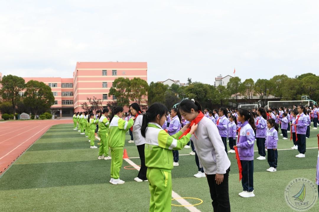 1762156520413018042.jpg DSC_0907.jpg