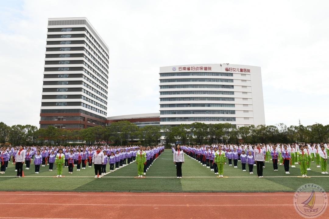 1762156588833055996.jpg DSC_0917.jpg